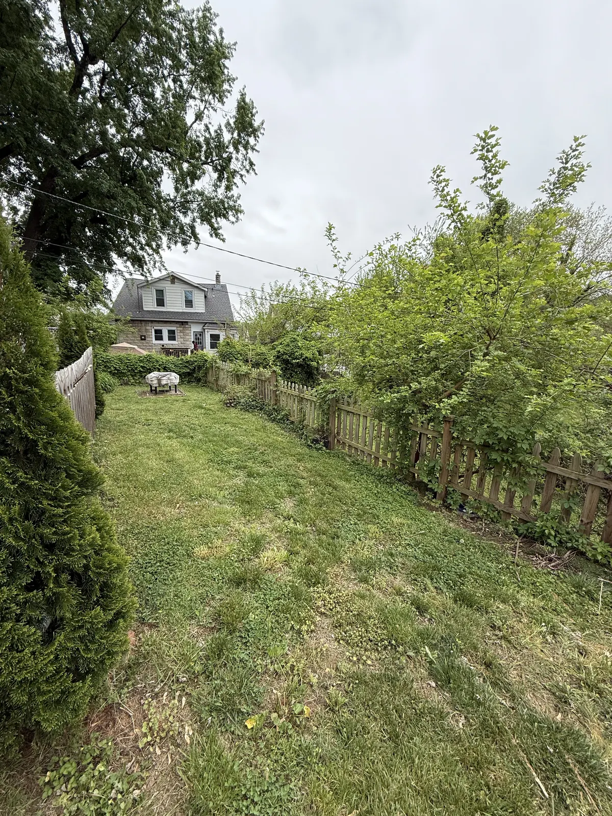 Overgrown backyard before fence installation