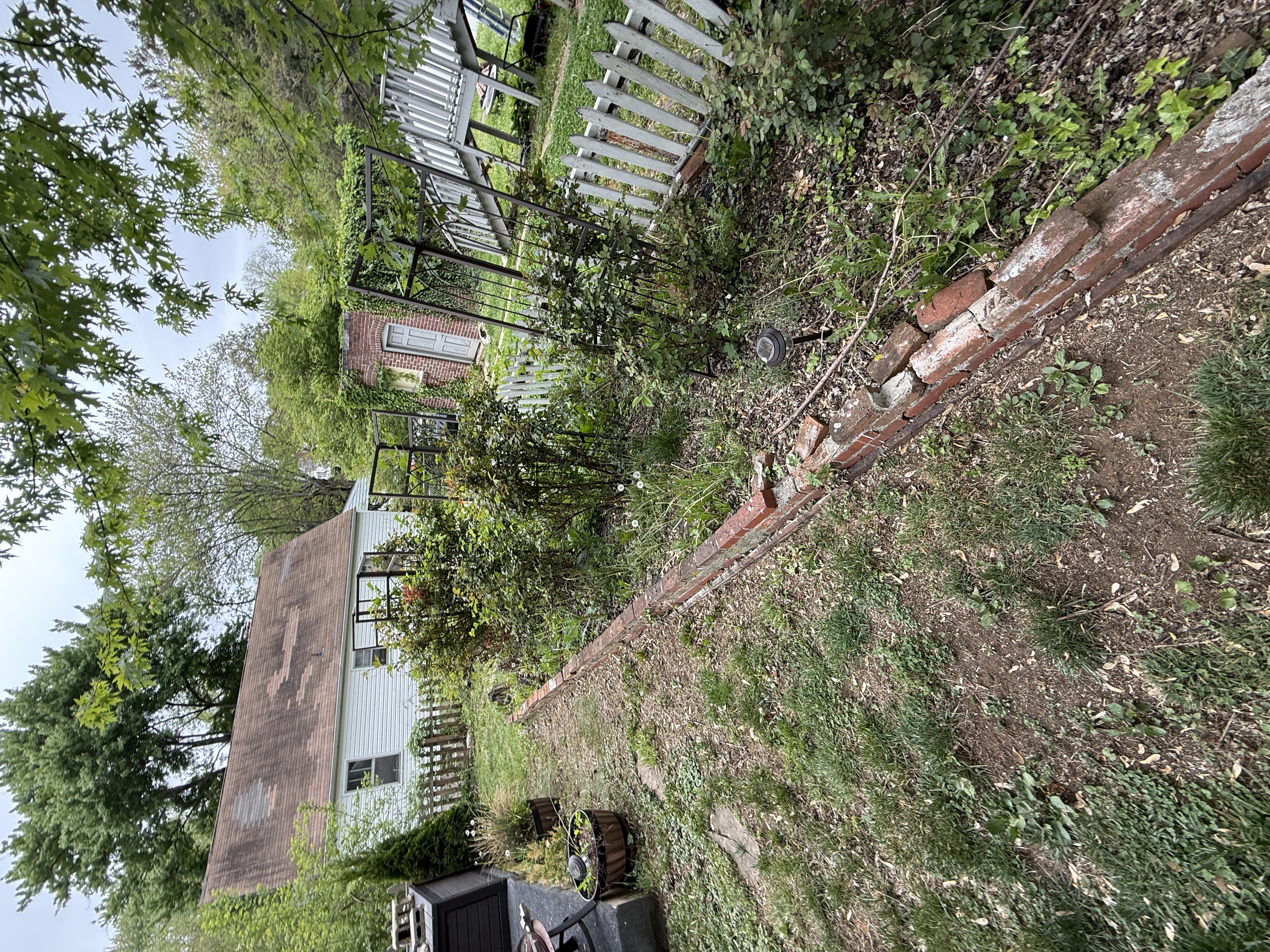 Neglected side yard before fence and landscaping work