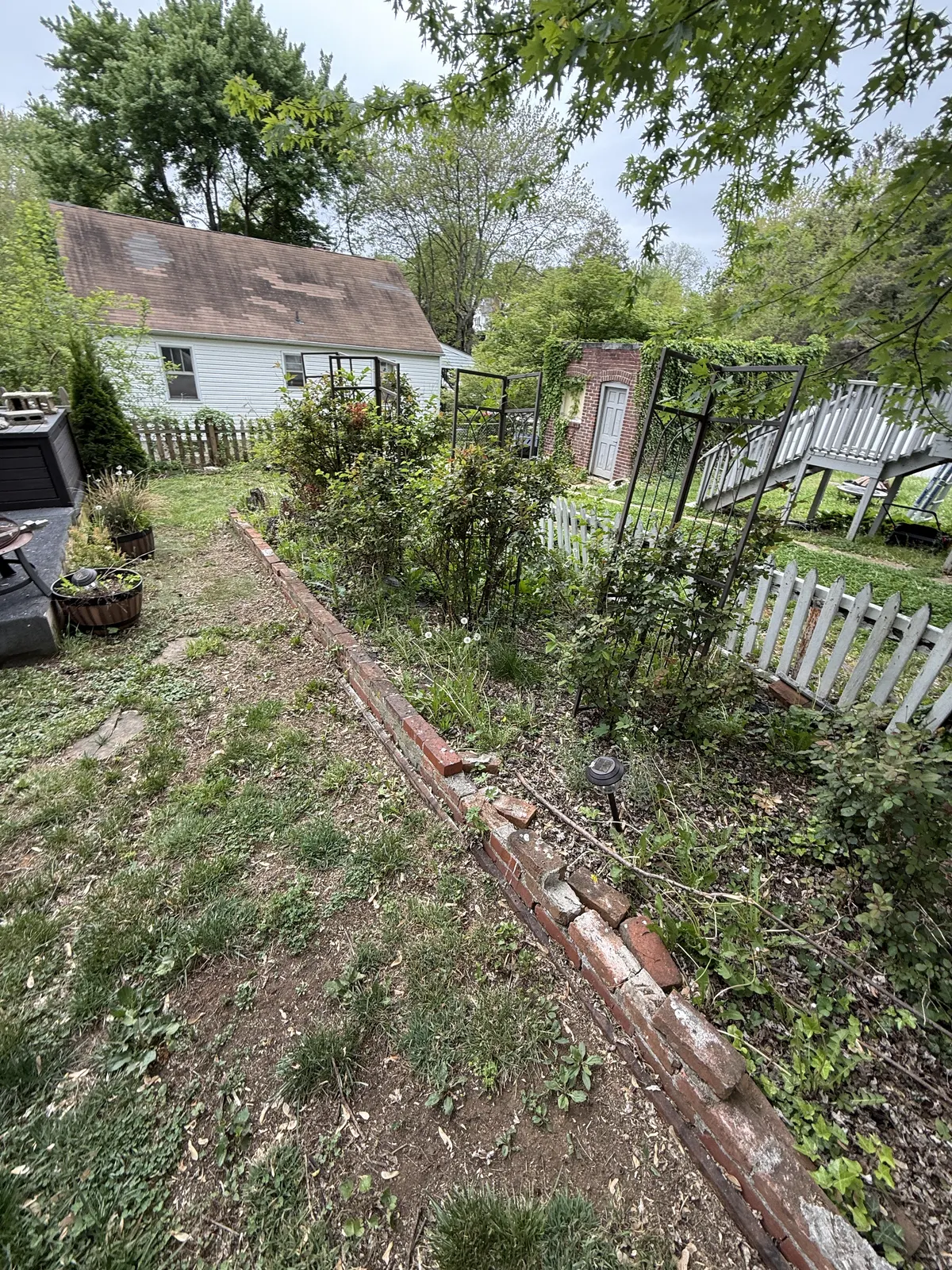 Neglected side yard before fence and landscaping work