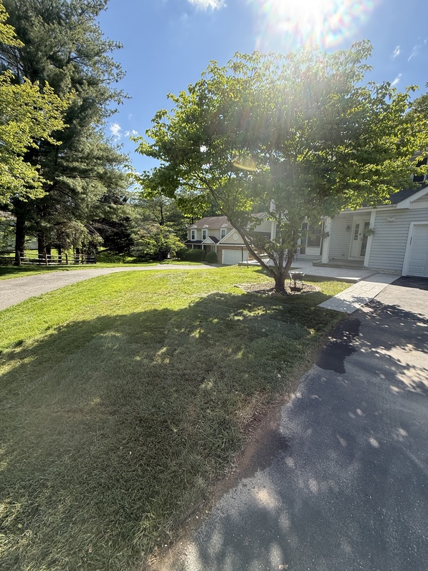 Lawn after service — clean, mowed green grass