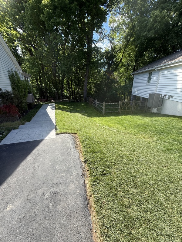 Lush green lawn fully recovered after lawn care service