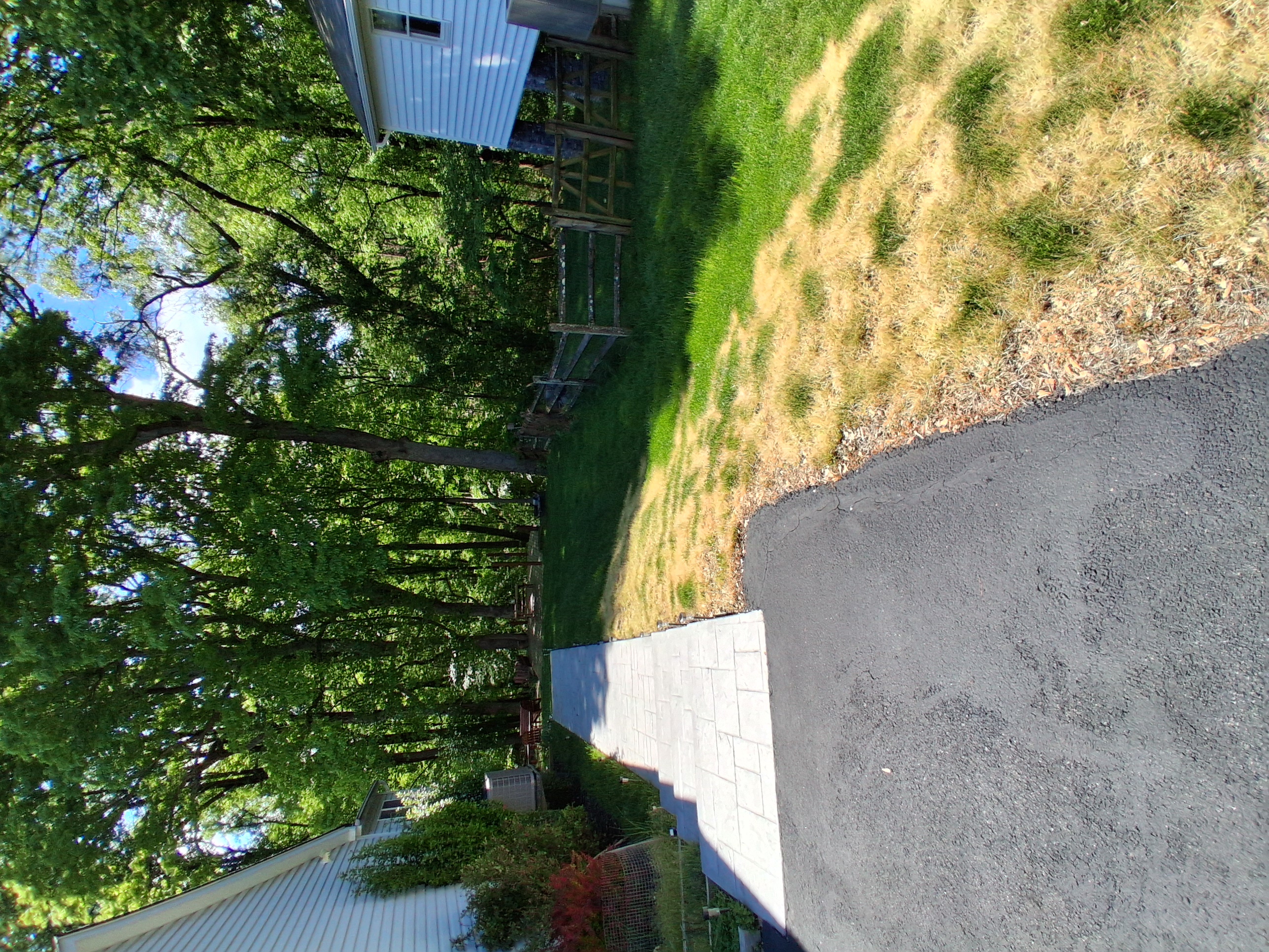 Patchy yellow lawn along driveway before lawn care service