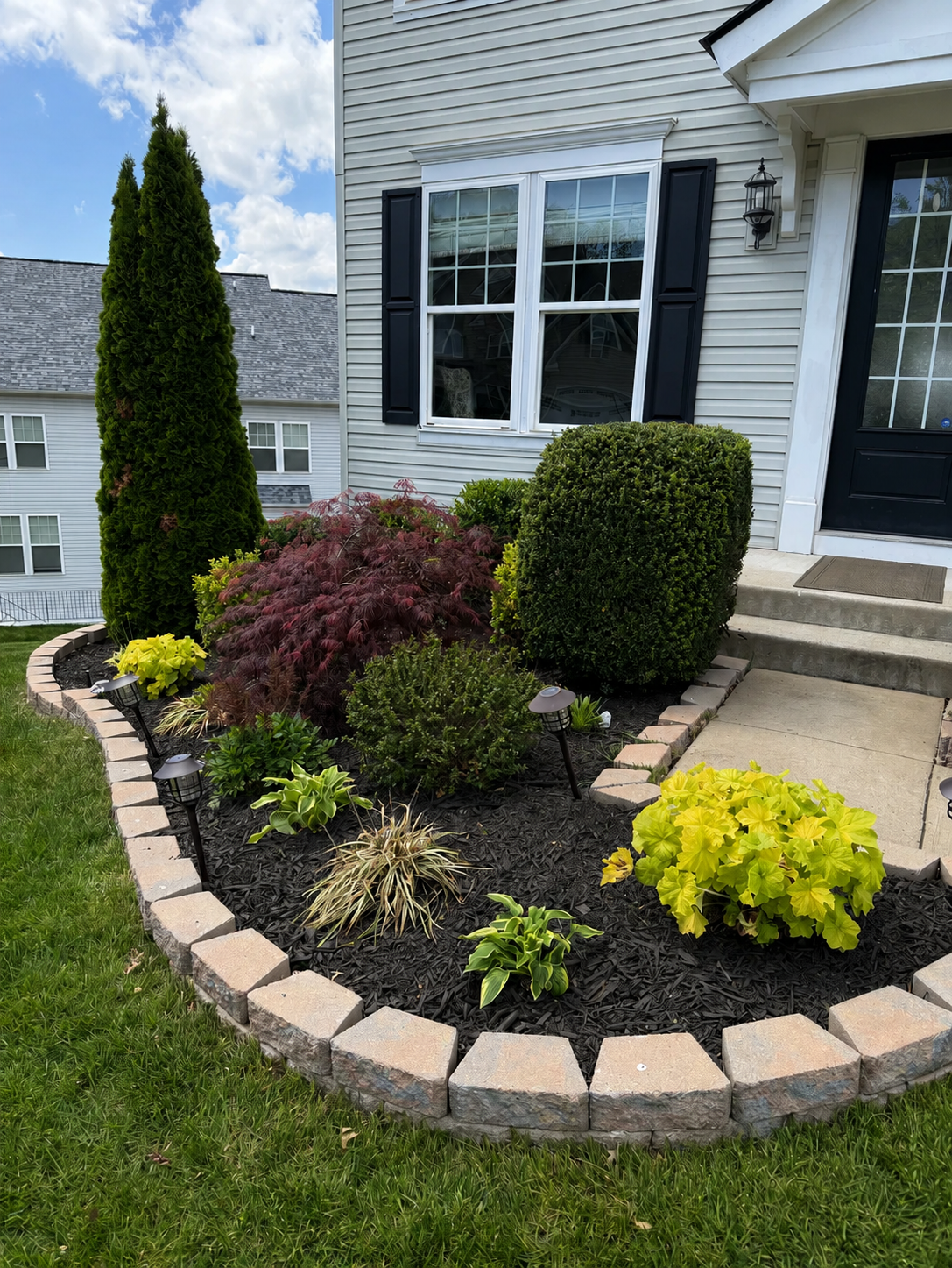 Stunning front bed with paver border, black mulch, Japanese maple and shrubs after landscaping