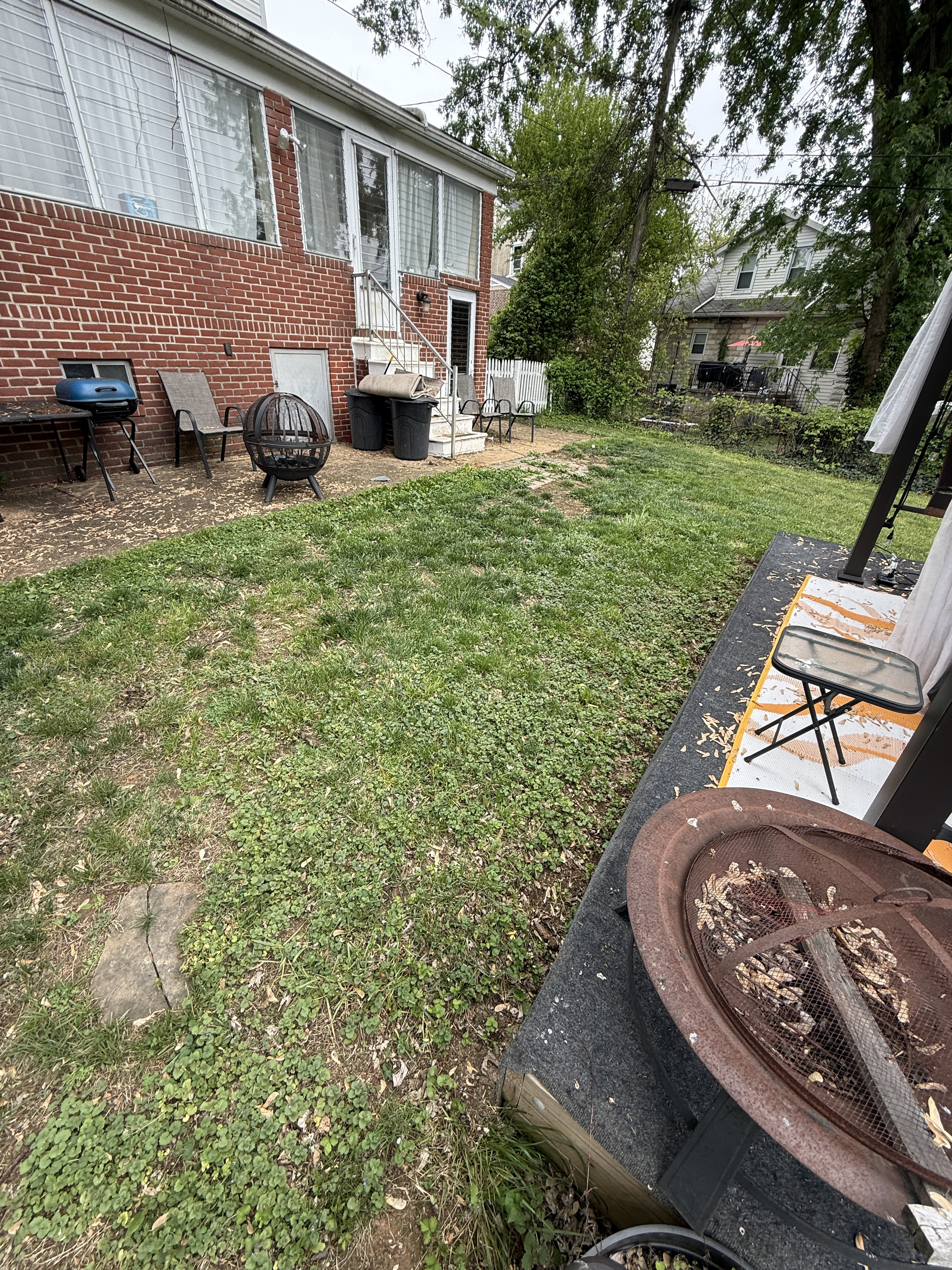 Backyard before cleanup — weedy overgrown lawn and patio area