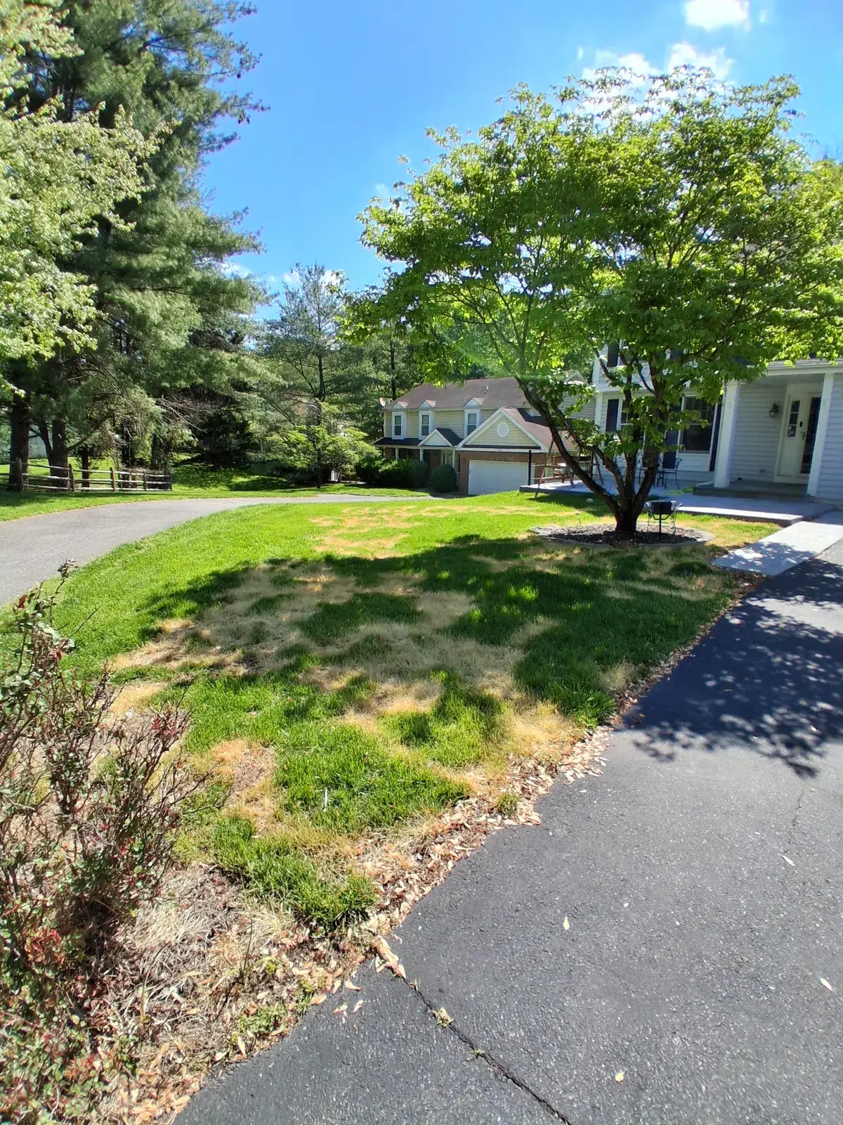 Weed-killer-damaged lawn before sod installation (View 1 of the same job)